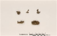 藏品(葉羊角衣)的圖片